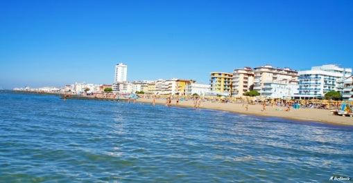 photo 477945