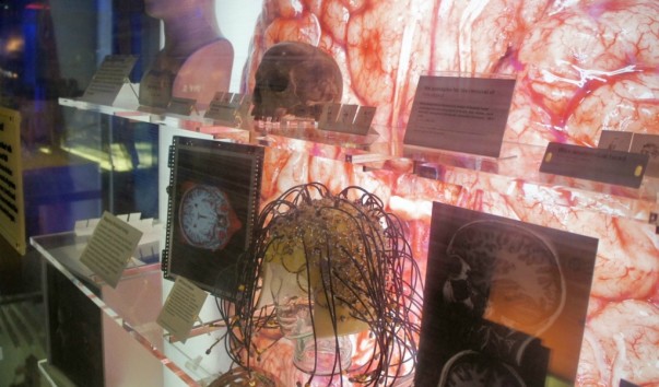 Science museum31