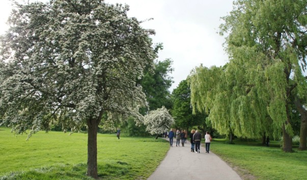 Hamstead Heath14