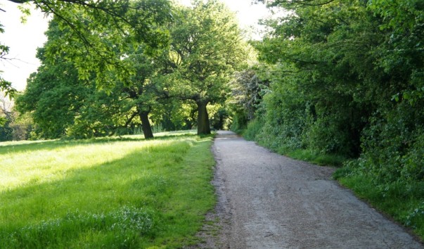 Hamstead Heath9