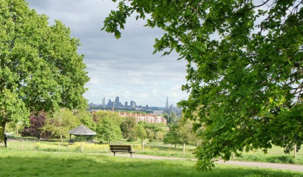 Hamstead Heath8