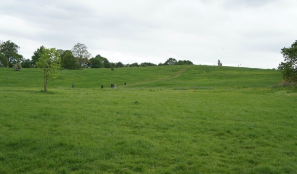 Hamstead Heath6