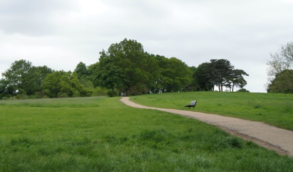 Hamstead Heath5