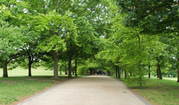 30GreenwichPark
