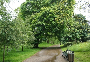photo 770720