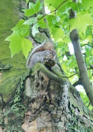 photo 770724