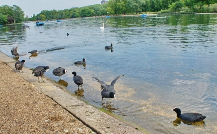 photo 775621