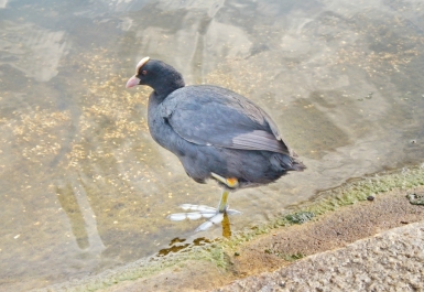 photo 775622