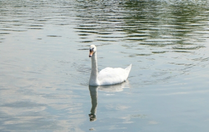 photo 775623