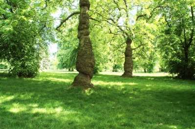 photo 775630