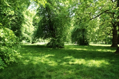 photo 775631