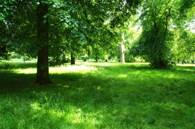 photo 775632