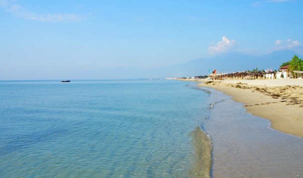 Paralia4