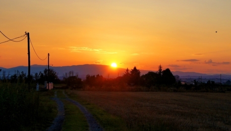 photo 823721