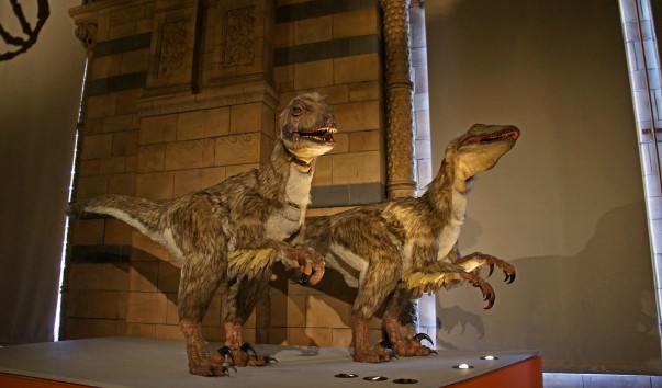 53NaturaHistorical Museum