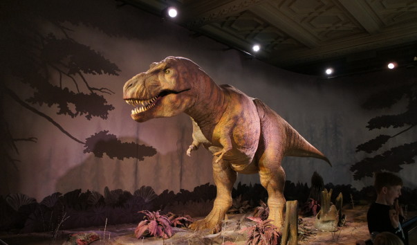 51NaturaHistorical Museum