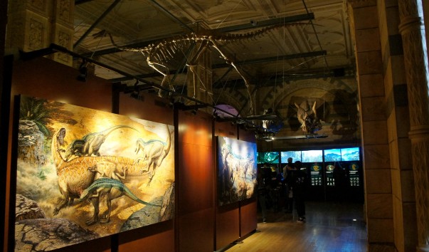 49NaturaHistorical Museum