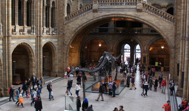 23NaturaHistorical Museum
