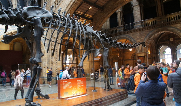 5NaturaHistorical Museum