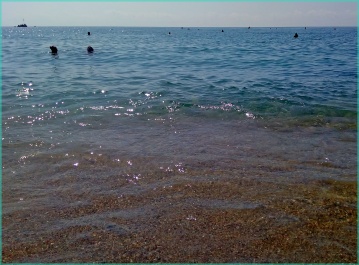 photo 1370463