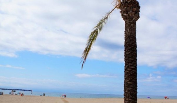 ComaRuga playa1