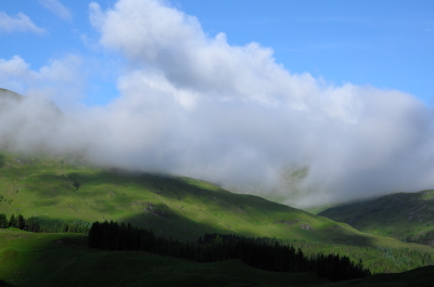 photo 1515117
