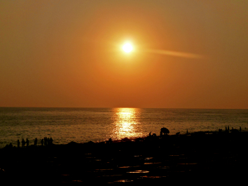 photo 681425