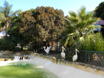 photo 598758