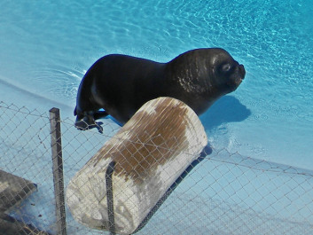 photo 598762