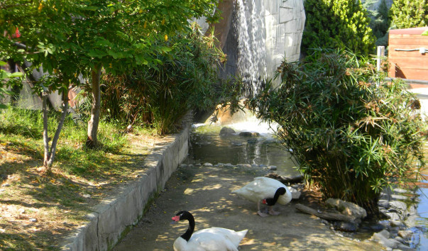 Испания_2012 317