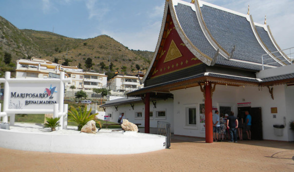 Mariposa. (4)