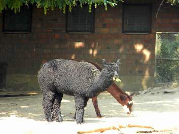 photo 628272