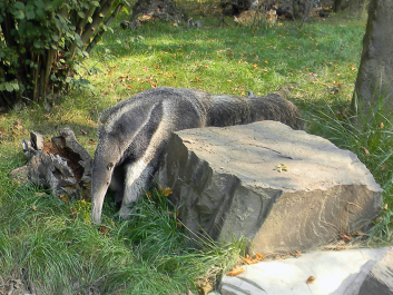 photo 628278