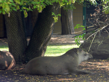 photo 628282
