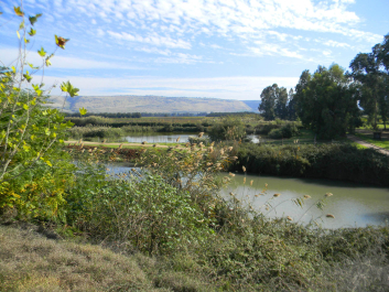 photo 621332