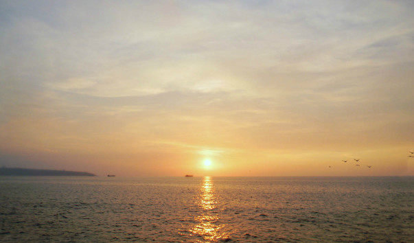 DSCN7376