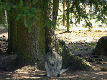 photo 622635