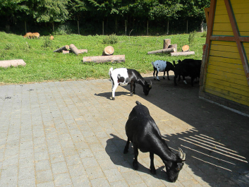 photo 622637