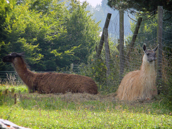 photo 622654