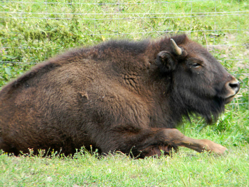 photo 622665