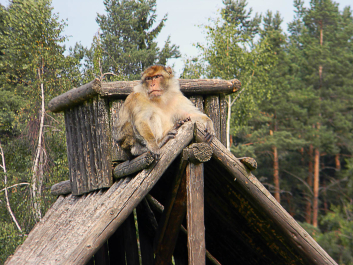 photo 622673