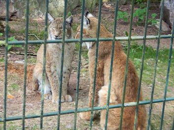 photo 622676