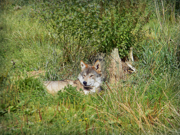 photo 622678