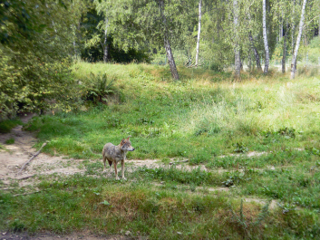 photo 622680