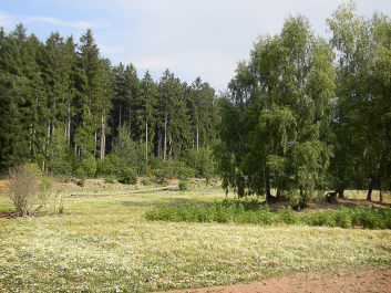 photo 622683