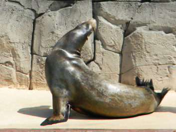 photo 644964