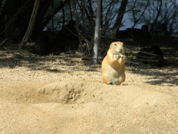 photo 644974