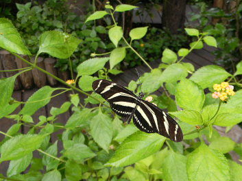 photo 644981