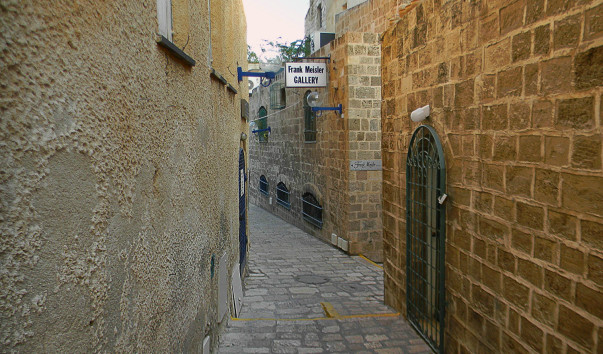 DSCN7791