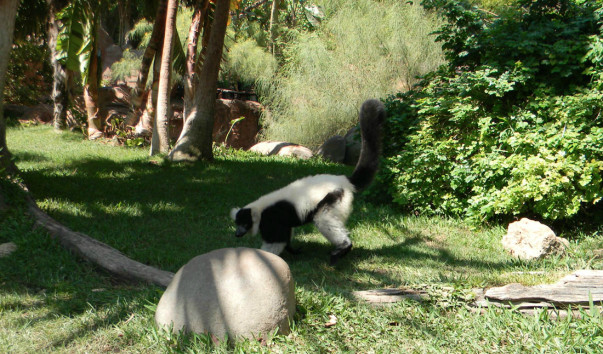 Bioparc (15)
